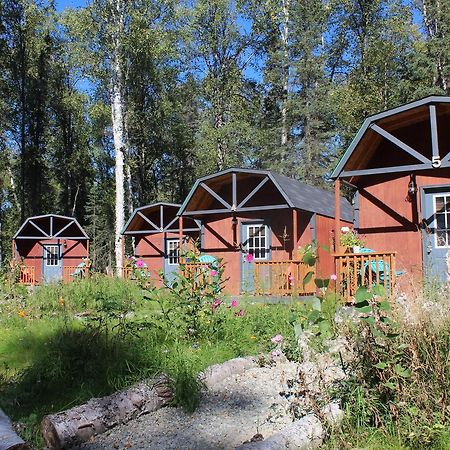 Dfa Cabin Rentals Талкитна Экстерьер фото