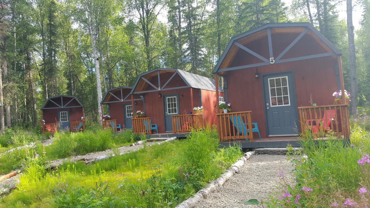 Dfa Cabin Rentals Талкитна Экстерьер фото