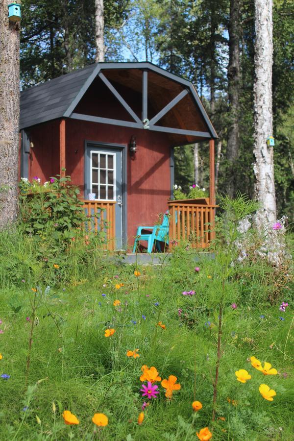 Dfa Cabin Rentals Талкитна Экстерьер фото