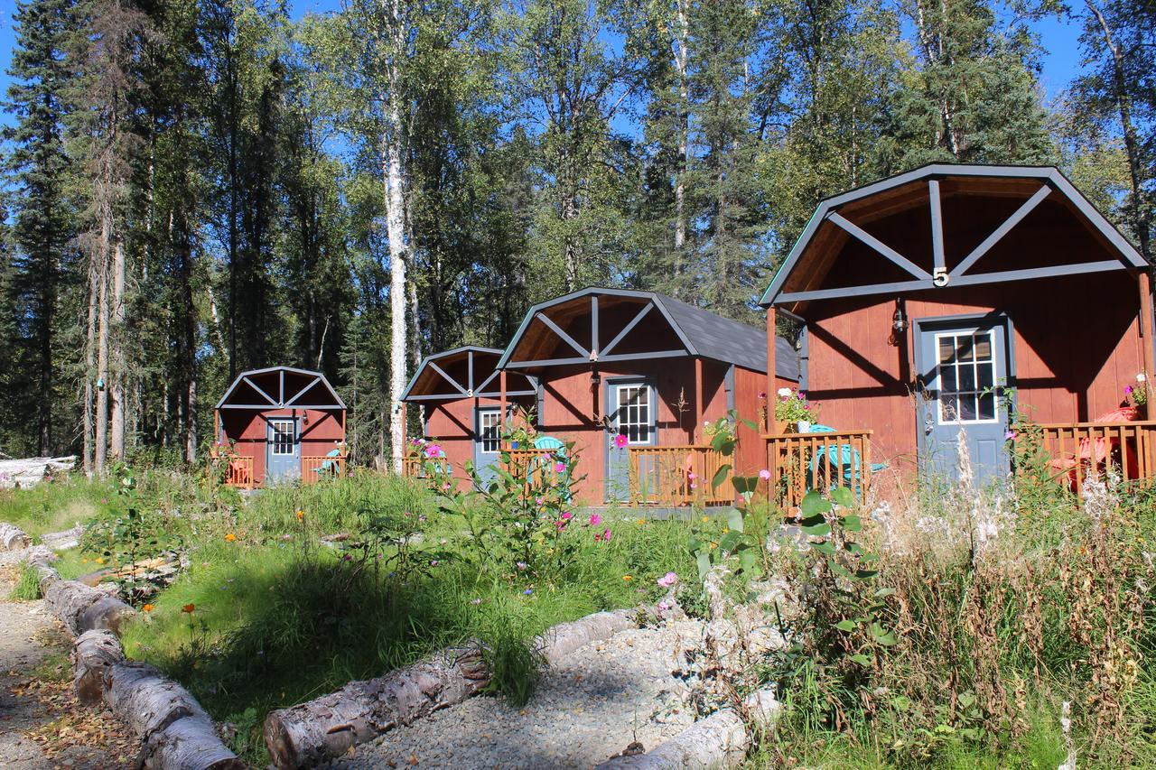 Dfa Cabin Rentals Талкитна Экстерьер фото